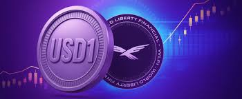 USD1 Wallet: How to Store USD1 Safely
